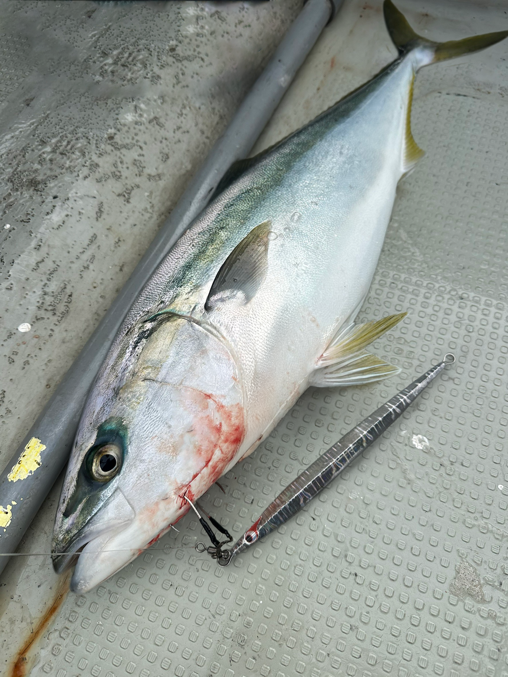 幸村スリム | BOZLES